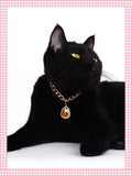 Pet Necklace Heart Water Drop Gems Pendant