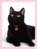 Pet Necklace Heart Water Drop Gems Pendant