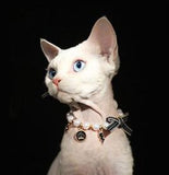 Pet Bow Pearl Collar